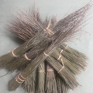 May include: Several bundles of dried green and brown stems, tied with twine and rubber bands. The bundles are arranged in a fan shape. The background is a solid light green colour.