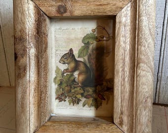 Frames Squirrel Picture Fall Autumn Winter Woodland Animal Primitive rustic Woodland Animal Lodge Style Decor wall or Table 7.5”x9” Brown
