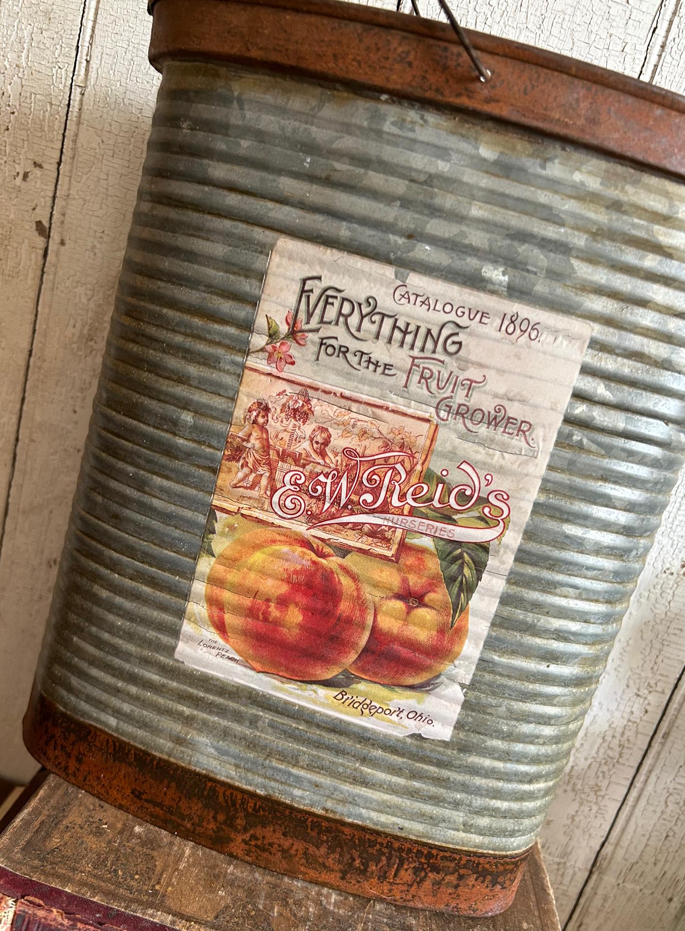 10 Pezzi Vasi Per Piante, Mini Secchielli Con Manici Per Piante Giardinaggio Decorazioni, Secchio Decorativo In Ferro Con Manico Per Piccoli Fiori, Caramelle, Bomboniera Per Matrimonio 4,4×5,5 Cm - Foto 3