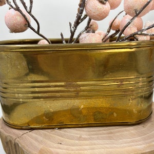 May include: A small, oval-shaped brass planter with two handles. The planter has a smooth, shiny surface and is decorated with horizontal lines.
