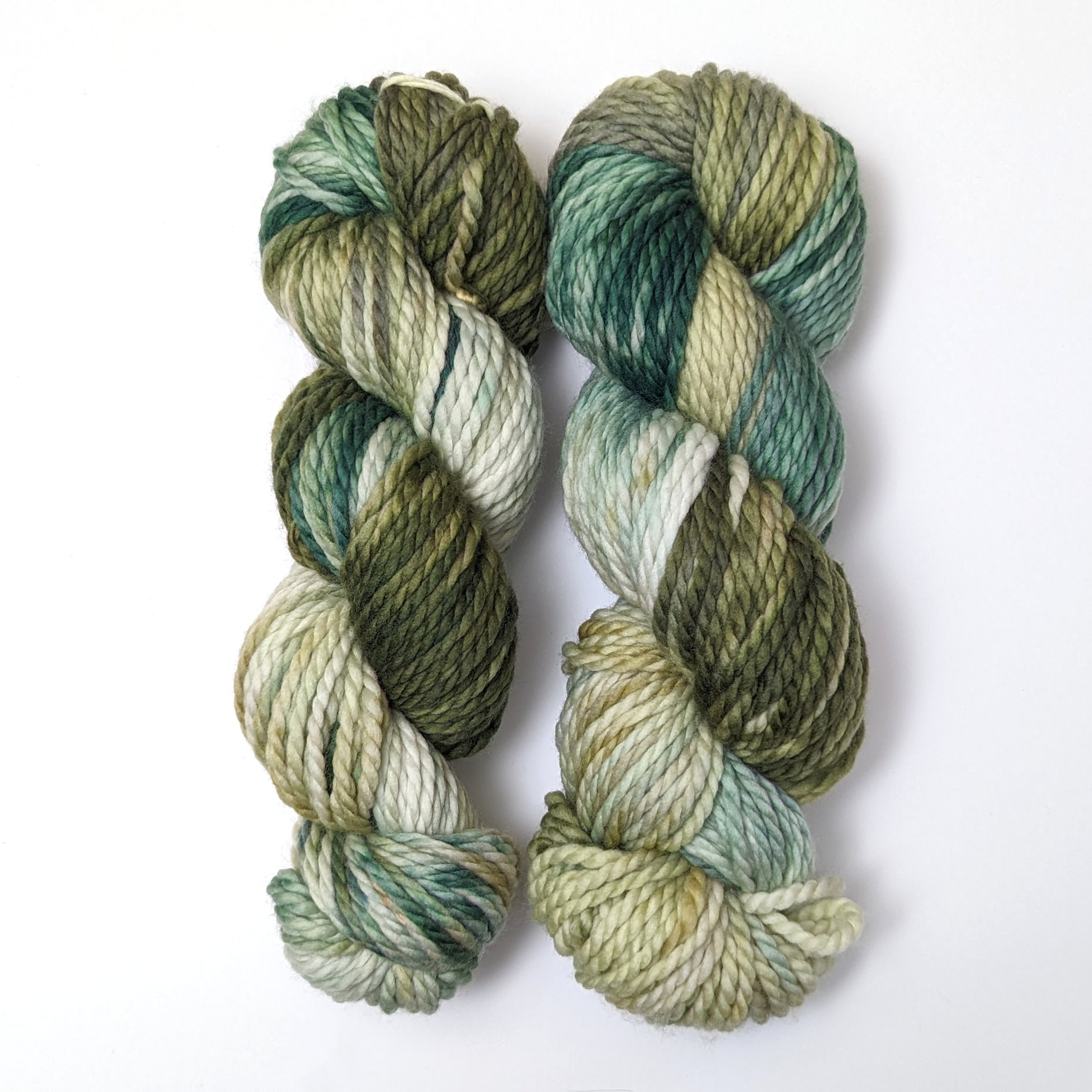 Sage Sappling Hand Dyed Yarn, Variegated Yarn, Ready to Ship Yarn 2 Ply