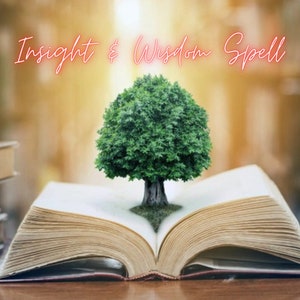 May include: An open book with a green tree growing from its pages. The text "Insight & Wisdom Spell" is written in pink above the book.