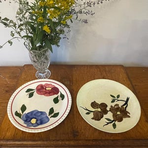 May include: Two vintage ceramic plates with floral designs. One plate features red and blue flowers with green leaves on a cream background. The other plate has brown flowers and green leaves on a yellow background. A vase of flowers sits behind the plates.