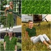 16 Grass Patterns Green Seamless Patterns Grassy Repeatable Pattern ...