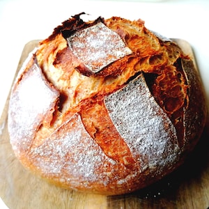Ancient San Francisco Sourdough Starter Super Active