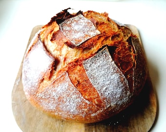 古代サンフランシスコサワードウスタータースーパーアクティブ