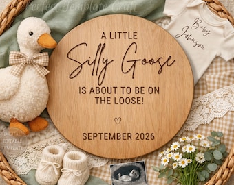 Digital Pregnancy Announcement Template, Silly Goose Baby Reveal, Funny Spring Summer Family Theme
