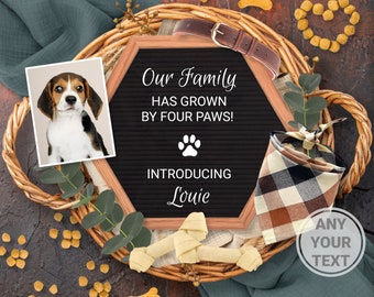 Anuncio de perro digital, Anuncio de cachorro para redes sociales, Anuncio de nuevo miembro de la familia, Plantilla editable imprimible personalizable