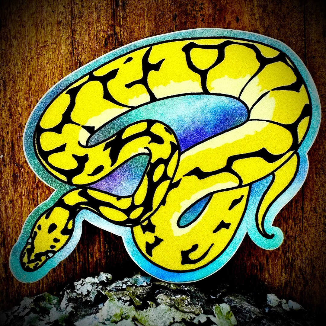Ball Python Snake Matte Sticker Decal YOU CHOOSE - Etsy