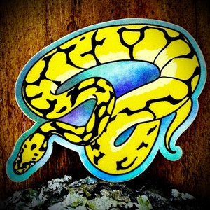 Ball Python Snake Matte Sticker Decal - YOU CHOOSE!