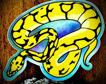 Ball Python Snake Matte Sticker Decal - YOU CHOOSE!