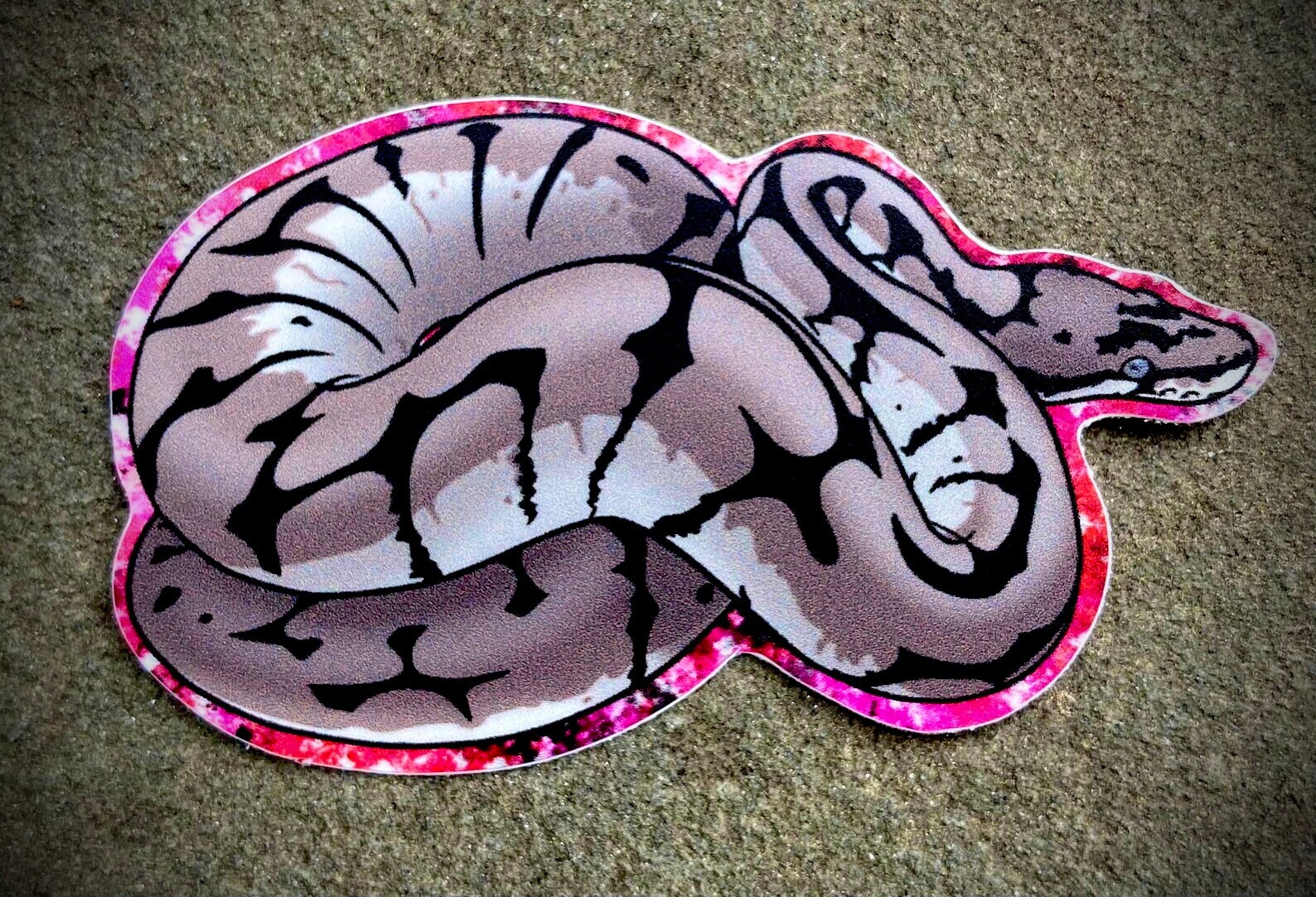 Ball Python Snake Metal Enamel Lapel Pin Joliff Axanthic - Etsy