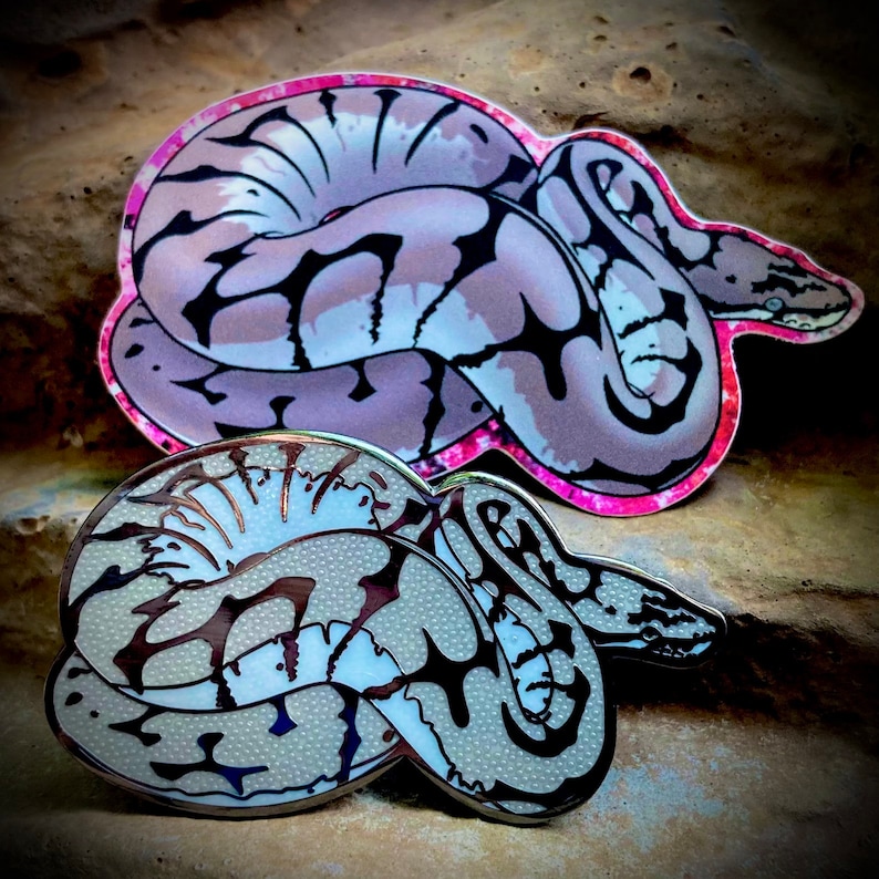 Ball Python Snake Metal Enamel Lapel Pin - Joliff Axanthic Zebra Bee ...