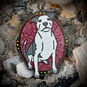 May include: A white and gray pit bull terrier dog sitting in a pink glitter oval frame with a yellow border. The dog is wearing a black collar.
