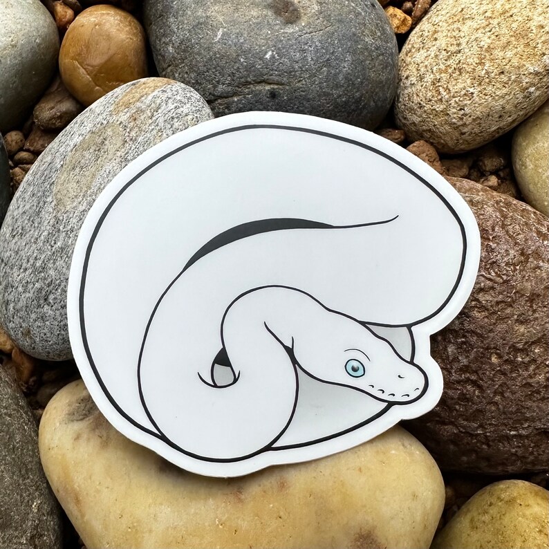 Ball Python Snake Metal Enamel Lapel Pin - Blue-eyed Leucistic (tsuki ...