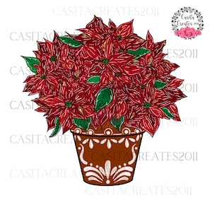 Noche Buena PNG, Poinsettia Flower, Poinsettia Pot, Maceta de Noche Buena, La Navidad, Merry Christmas, Mexican Christmas, Navidad Mexicana