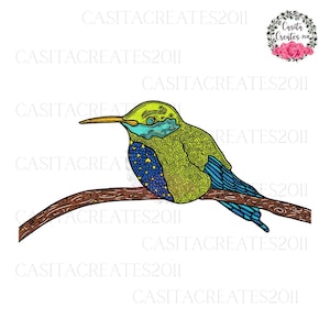 Humming bird, Humming Bird PNG, Colibri, Colibri PNG, Colibrí, Colibrí png, Animal PNG, Bird png, pajaro png, pajaro, Chupa Rosa, Animalitos