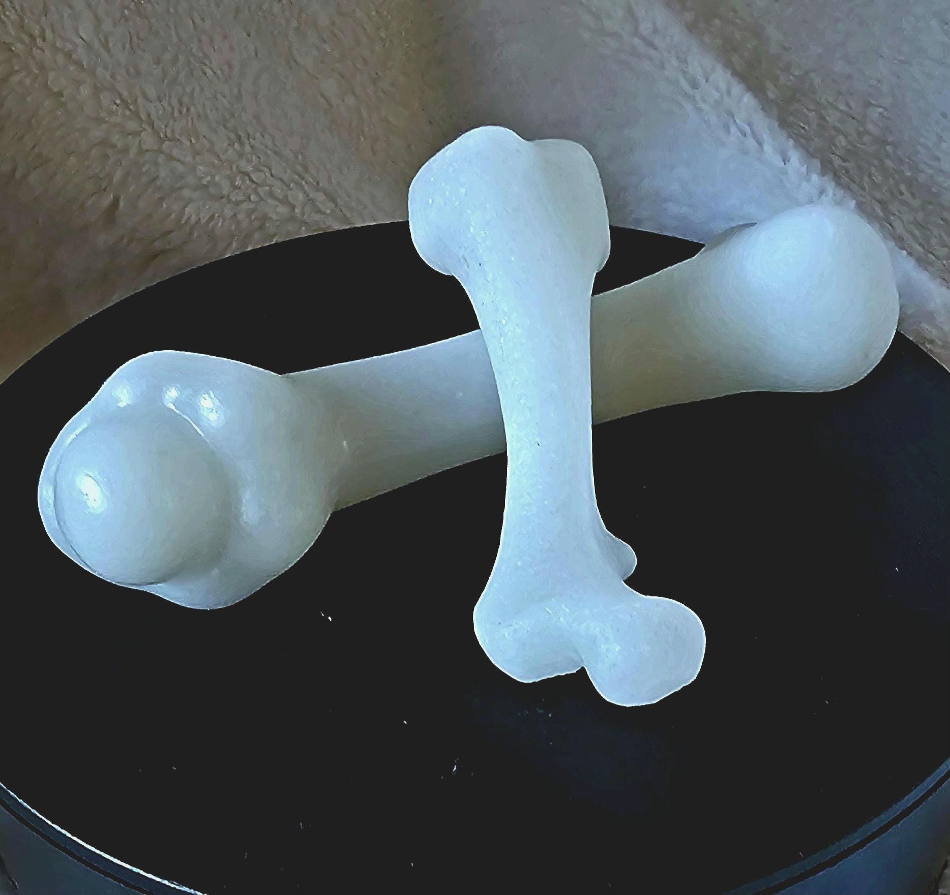 Sparkling white jade leg bones.  A human tibia and fibula.
