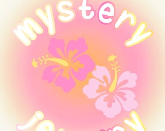 Mystery Jewelry Pack