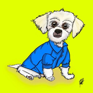 Digital Pet Portrait Caricature For Friend Family Caricature Portrait Of Dog Cat Cartoon Caricature Custom Artwork Of Family And Or Pets