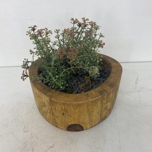 Übertopf Blumenvase Holz Trockenblumen • Drinnen Einzigartiges Geschenk Einzigartiges Geschenk für Sie