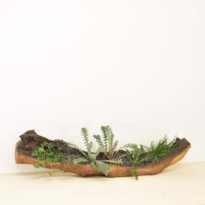 Übertopf Blumengarten • Hausblumentopf Handgefertigt Einzigartig • Holzblume Natürlich Dekoratives Haus Design Vase Geschenk Für Sie Winter Garten Design