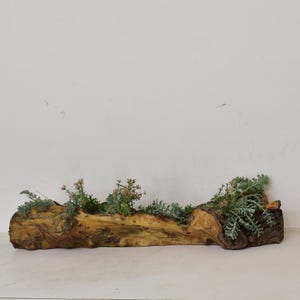 Vintage natürlicher Blumentopf aus Holz • Garten Holz Garten Haus Blumentopf • Handgefertigte einzigartige Holzblume • Natürliche dekorative Hausvase