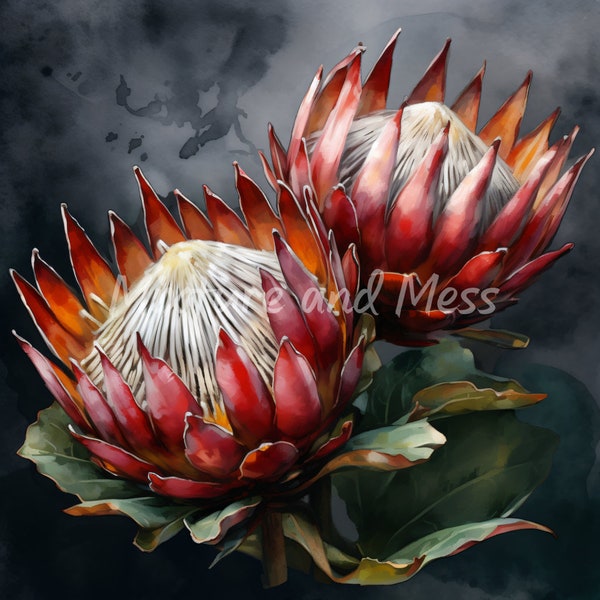 Watercolour Protea, Twin Little Prince Protea Digital Paper, Digital Download - PNG