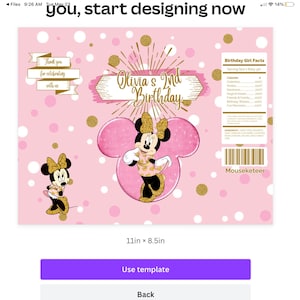 Minnie Chip bag template