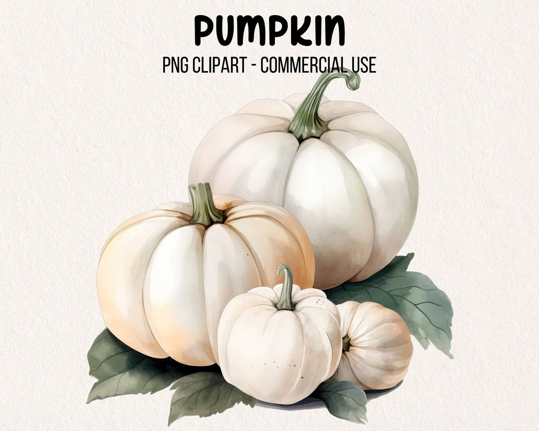 White Pumpkin Clipart Autumn Art Fall DIY Art Instant - Etsy