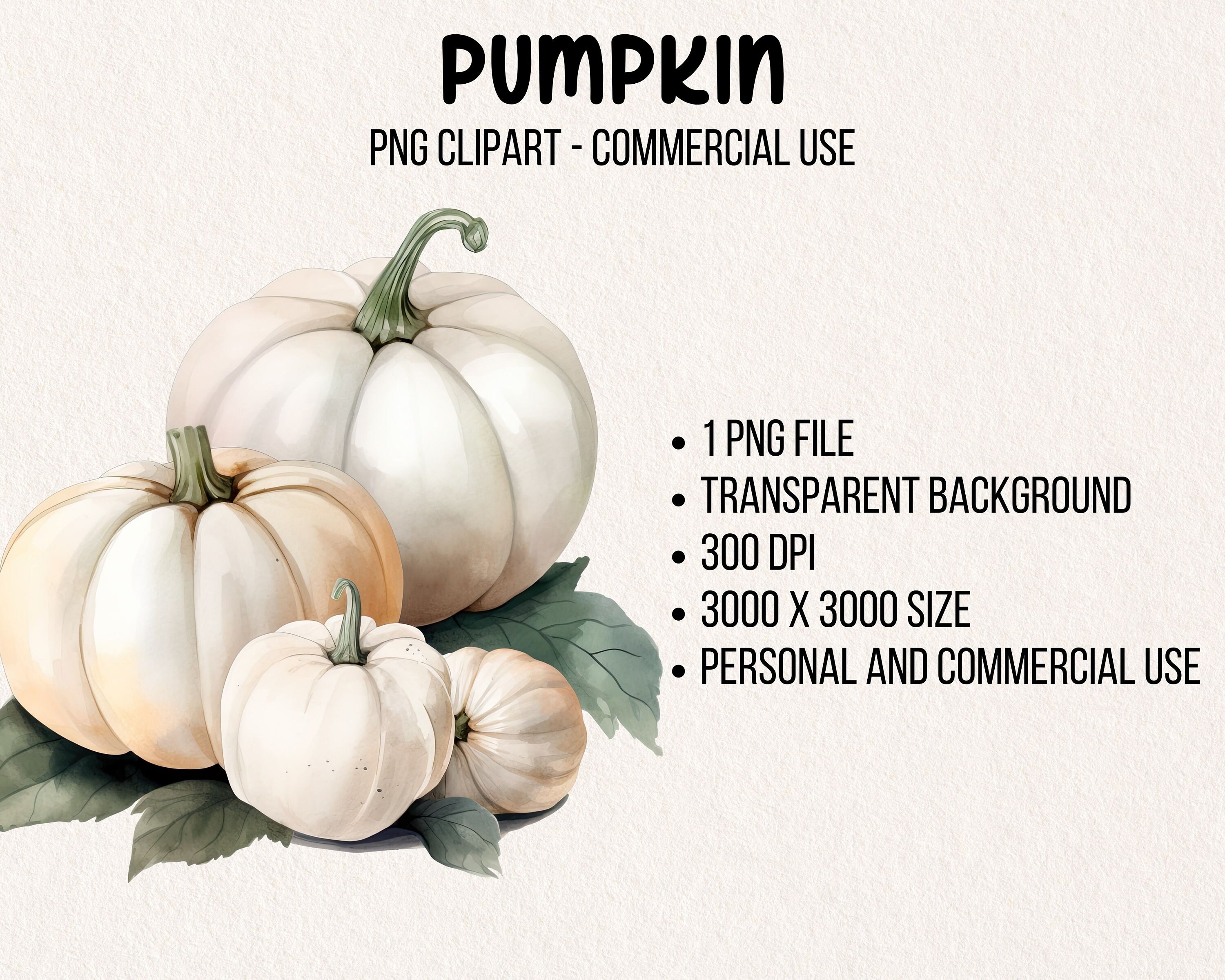 White Pumpkin Clipart Autumn Art Fall DIY Art Instant - Etsy
