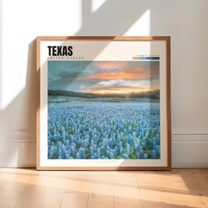Texas Wall Art | Texas Home Decor | Texas Photography | Texas Bluebonnet Print | Texas Poster | Texas Artwork | Texas Gift | P #220