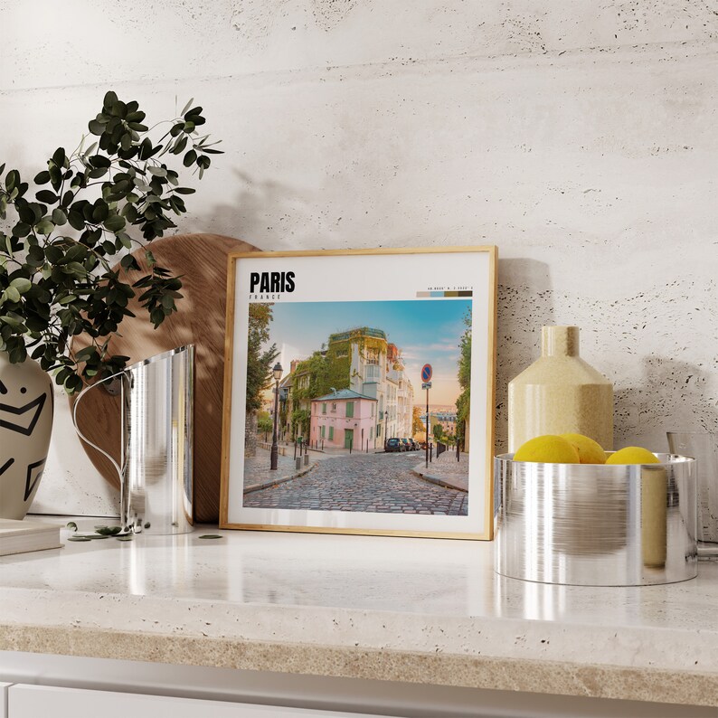 a picture of paris on a shelf next to a potted plant