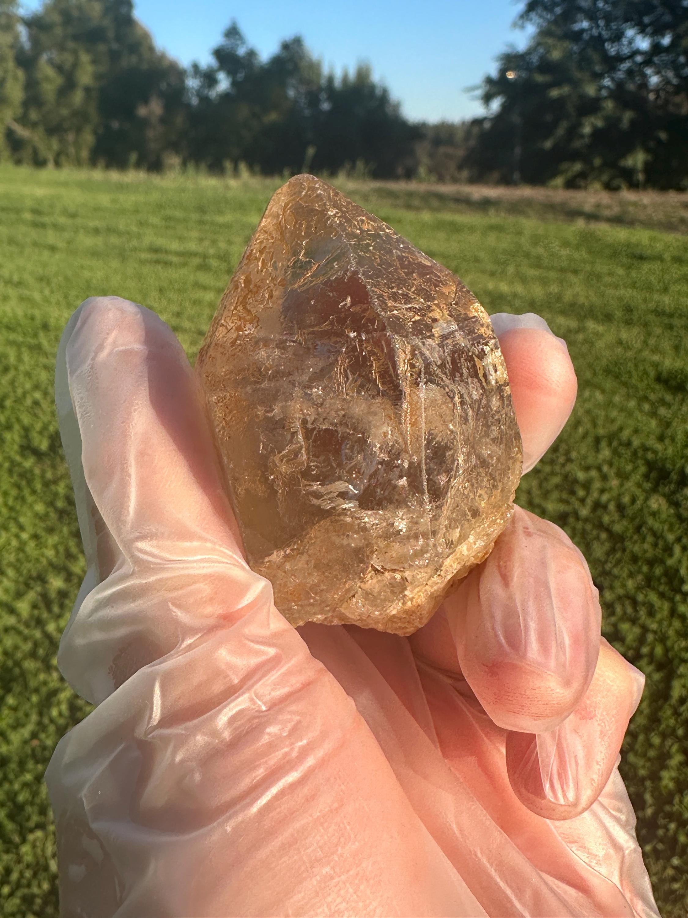 パキスタン ゴールデンヒーラー01 パキスタン ゴールデンヒーラー01