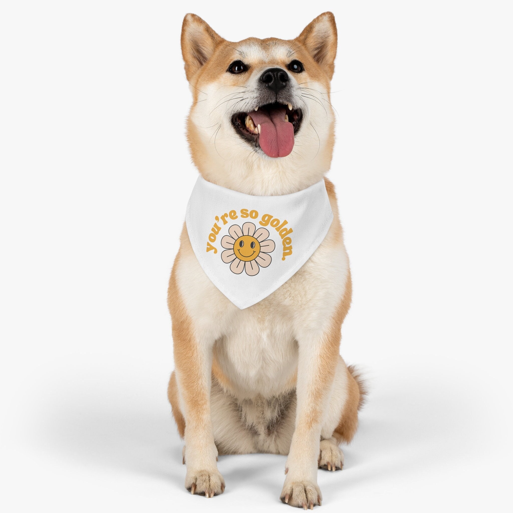 PINK St. Louis Blues Ice Hockey Designer Dog or Cat Collar – Custom Design Dog  Collars