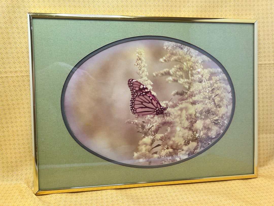 Vintage Framed Butterfly Wall Art - Etsy