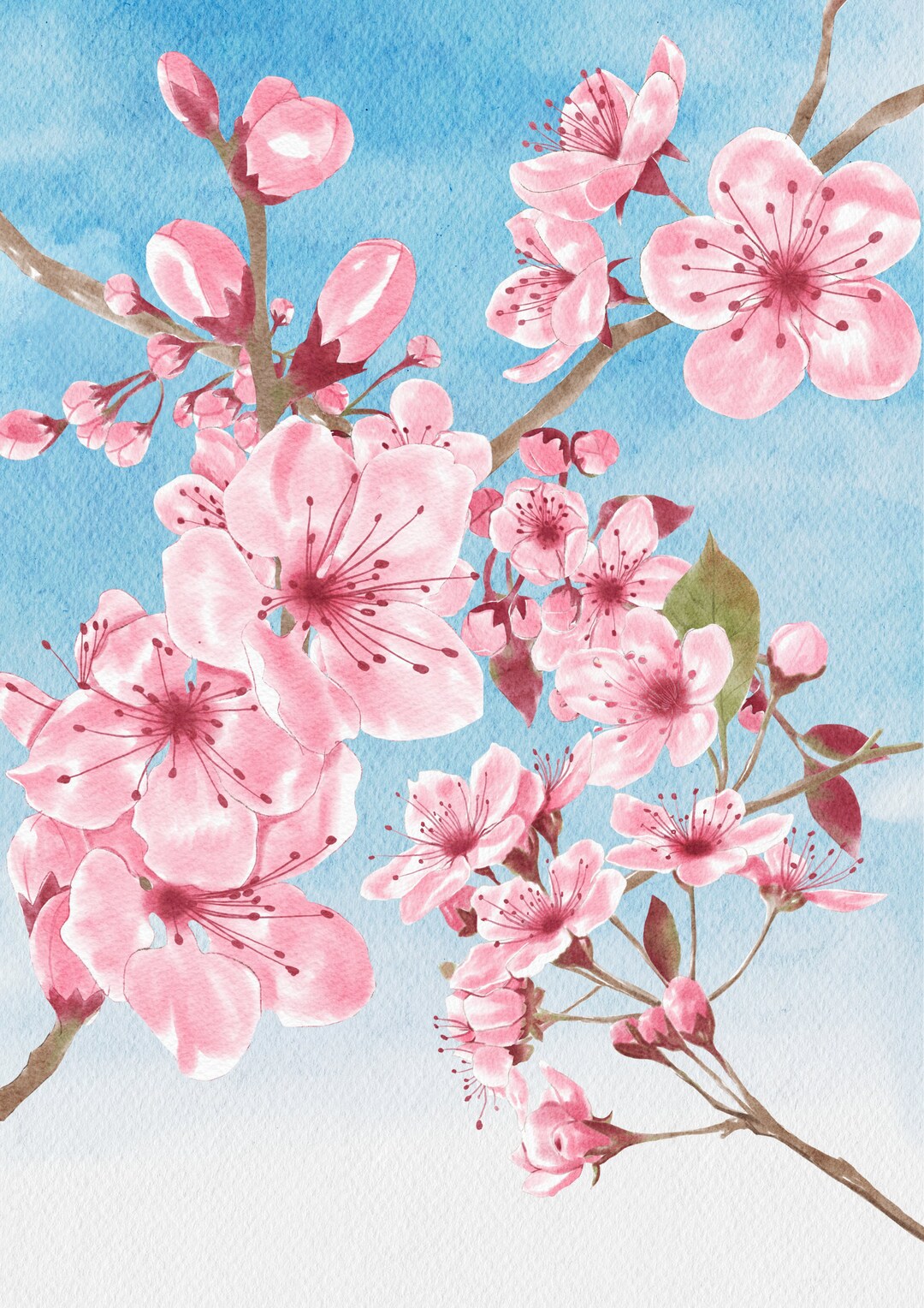 Cherry Blossoms Printable Artwork Etsy