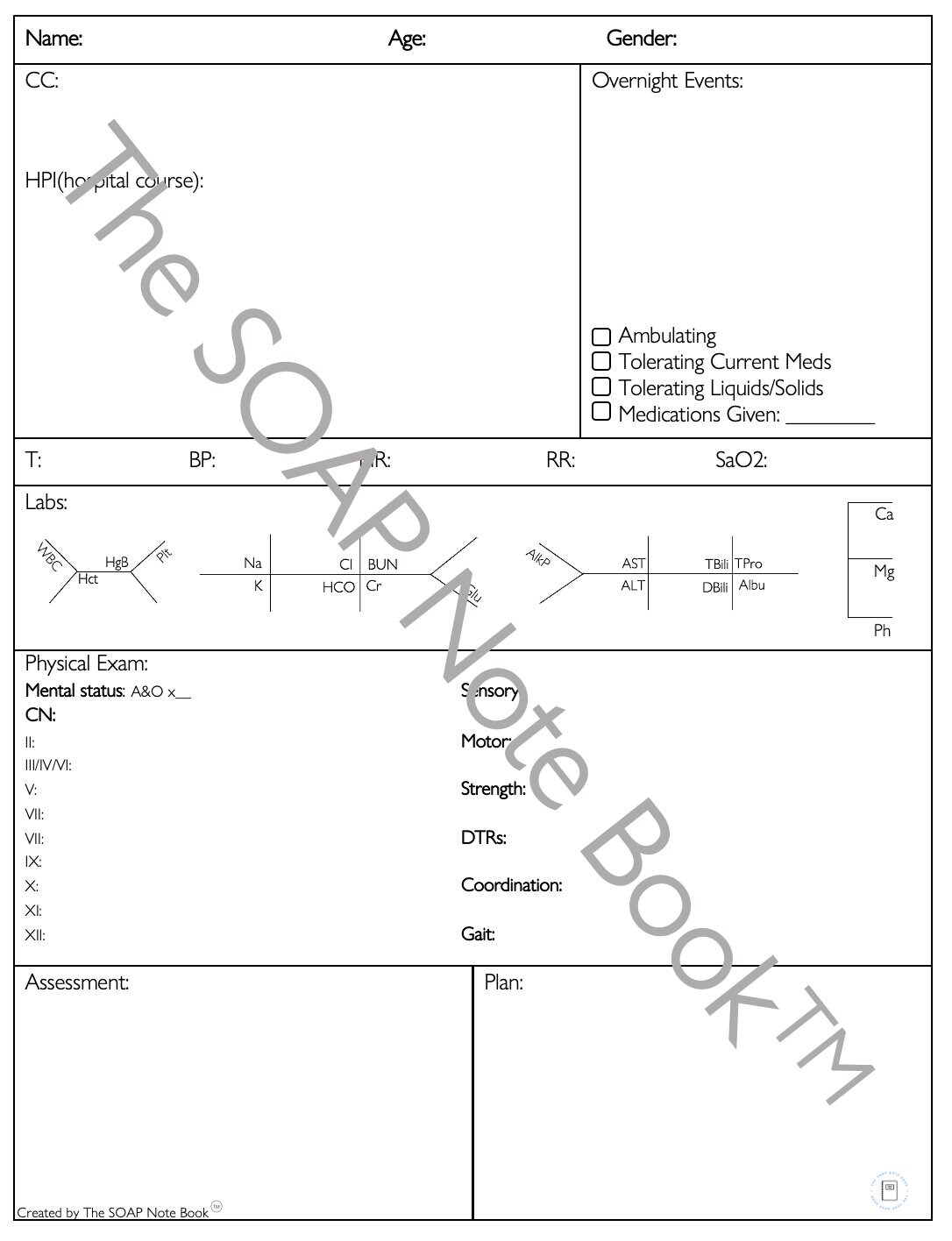 SOAP Note: Neurology - Etsy