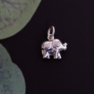 May include: A silver charm in the shape of an elephant. The elephant has detailed features and a textured surface.