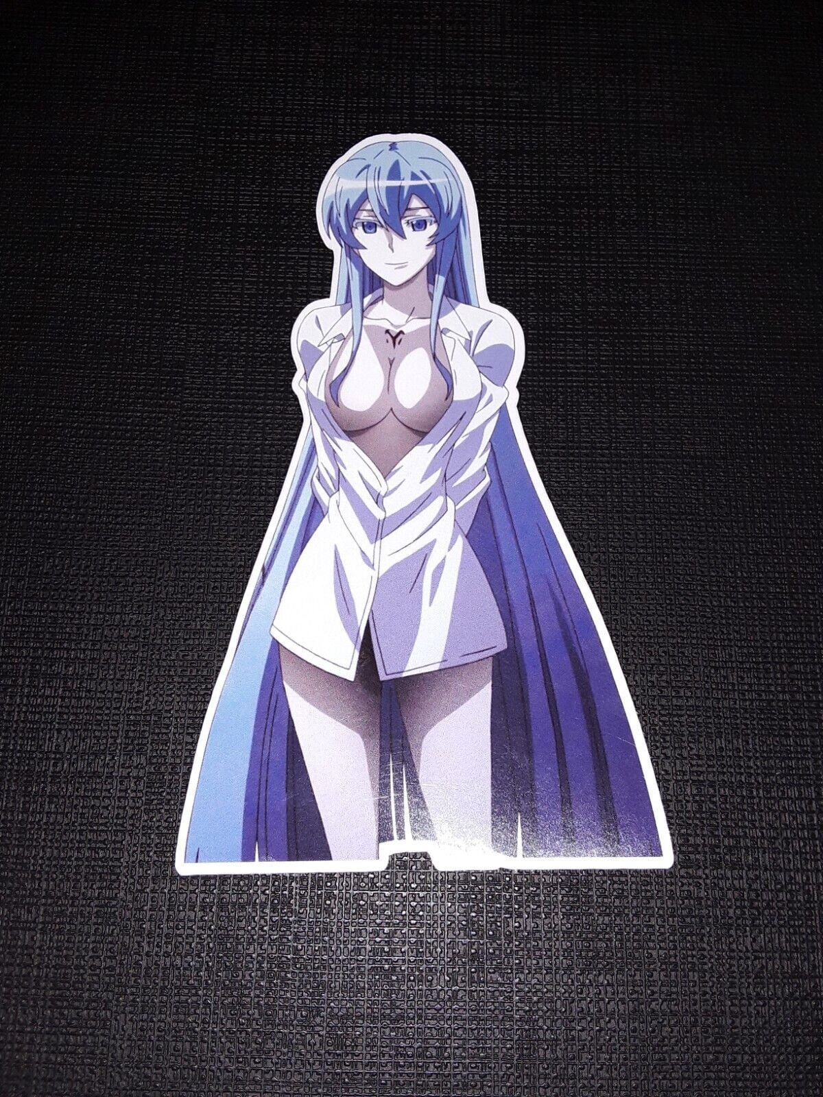 Akame ga Kill - Esdeath - Akame - Pin