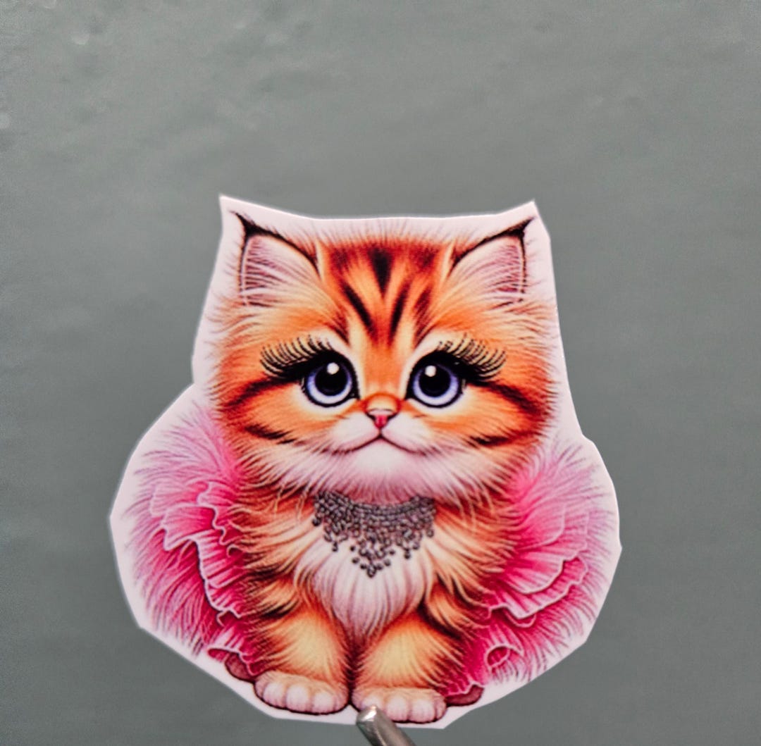 Orange Tabby Cat Sticker, Tiara and Tutu, Cat Lover Gift - Etsy