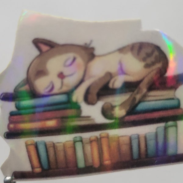 Quality  Hologram Vinyl sticker, cat sleeping on bookshelf . Journal,  planners, binders,laptops. Water bottles, cups, buy 3 get 1 free