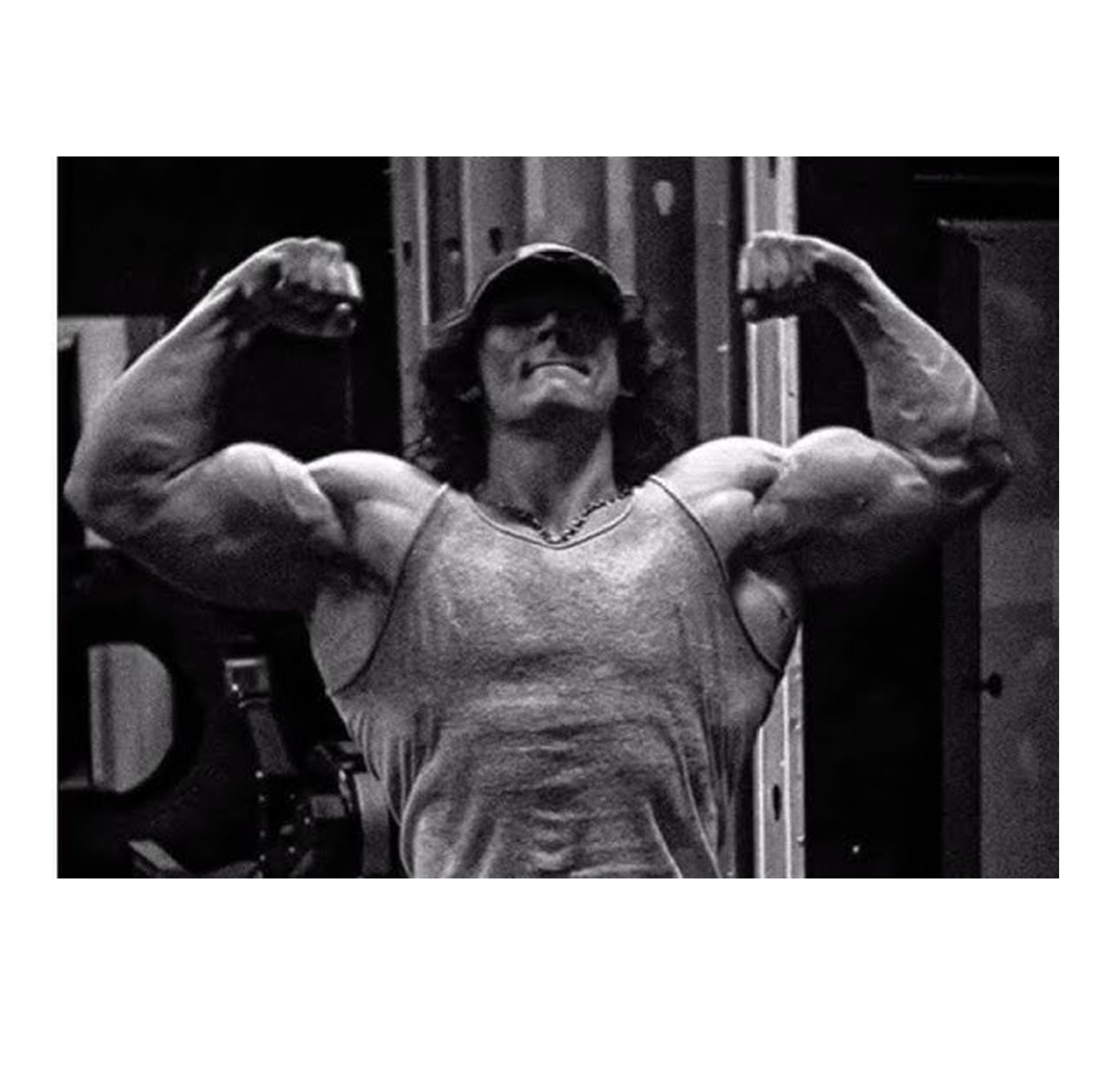 Sam Sulek Workout Routine 50 - ifausbe