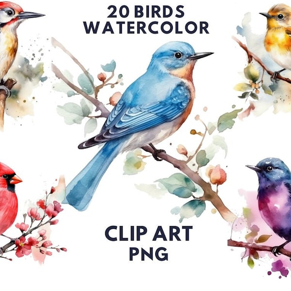 Watercolor Birds Clipart, Birds Png, Spring Birds Clipart, Bird Clipart, Colorful Birds Clipart, Birds On Branch Clipart, Digital PNG