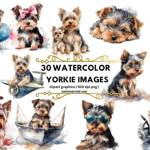 Yorkshire Terrier Aquarell Clipart, süße Yorkie PNG Illustration süße Yorkie druckbare Wand Kunst Welpe Haustier Portrait Download Scrapbooking