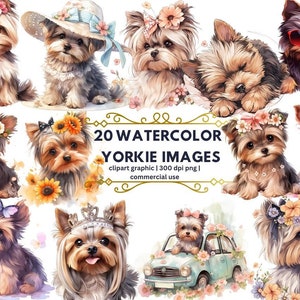 Yorkshire Terrier Watercolor Clipart, Cute Yorkie PNG Illustration Cute Yorkie Printable Wall Art Puppy Pet Portrait Download Scrapbooking