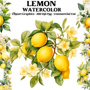 Bouquet Lemon Clipart, Watercolor Lemons Png, Lemon Twig Clipart, Lemon wreath, Lemon flowers - Floral clipart, Digital Clipart PNG
