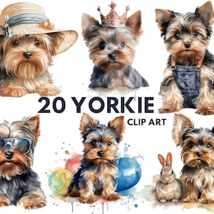 Yorkshire Terrier Aquarell Clipart, süße Yorkie PNG Illustration süße Yorkie druckbare Wand Kunst Welpe Haustier Portrait Download Scrapbooking