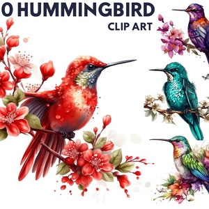Hummingbird Clipart Digital Illustration Paper Crafting Collage Images Junk Journaling Scrapbook Painting Hummingbird Art Prints Download