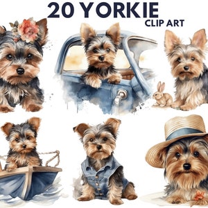 Yorkshire Terrier Watercolor Clipart, Cute Yorkie PNG  Illustration Cute Yorkie Printable Wall Art Puppy Pet Portrait Download Scrapbooking